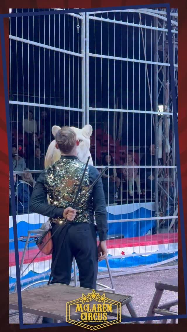 A full house 🎪🔥 A powerful connection 🐾❤️
This Workers’ Day, our Big Top was filled with energy, excitement, and something even more special… trust.
Our animal acts are not just performances ✨ They are built on time, consistency, and a deep bond between trainer and animal.
Watching Quintin work alongside our lions 🦁 and ponies 🐴 shows true patience, respect, and understanding. This is what we love sharing with our audiences. Not just entertainment, but real connections that reflect the beauty of working with animals 💫
📍 McLaren Circus is in #Milnerton until Sunday, 3 May
🎟 Sat, 02 May @ 3 PM & 7 PM
🎪 Sun, 03 May @ 3 PM
Bring the family, feel the magic, and be part of something special!
The circus that ROARS with fun 🦁🔥