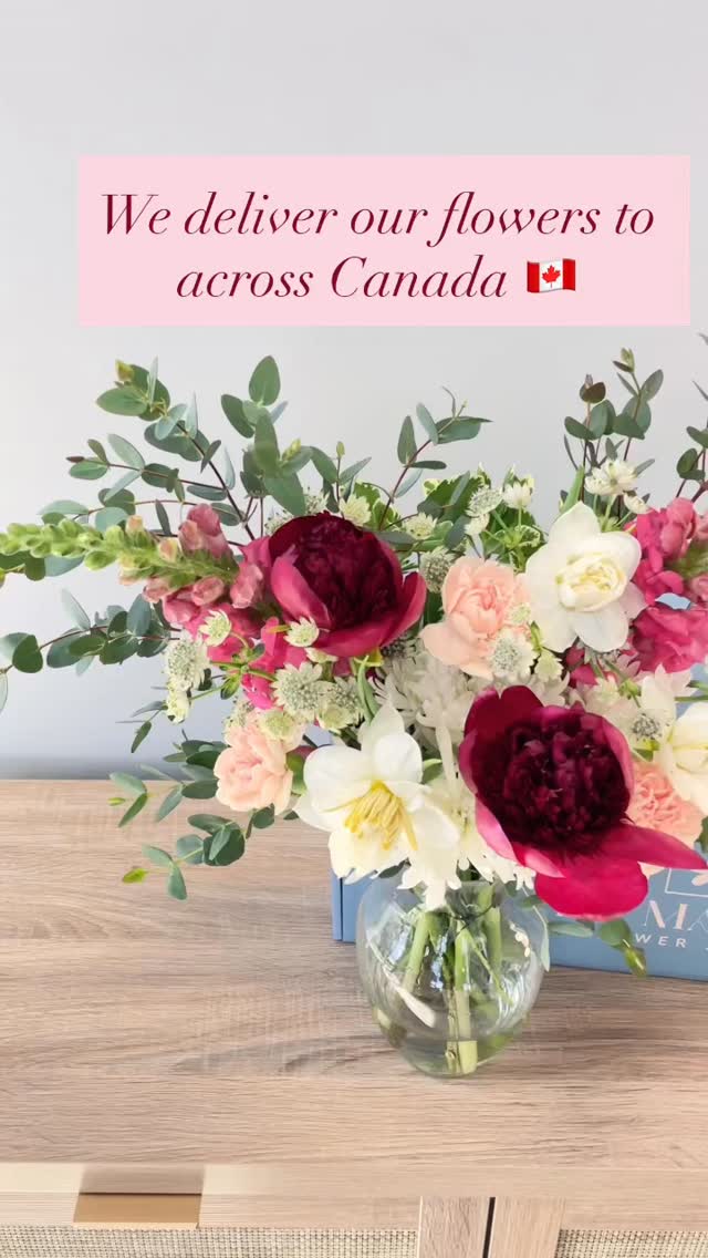Mother’s Day, delivered beautifully across Canada 🇨🇦
Send love anywhere she is with our nationwide flower delivery, carefully shipped by UPS Air. Each arrangement is thoughtfully designed and packaged to arrive fresh, elegant, and full of heart.
Next day delivery is available, so even last minute gifts can feel truly special.
Celebrate her with flowers that travel beautifully, from our hands to hers.
Order now for Mother’s Day 💐
(Mother’s day order will be cut off at 11am on May 8)
Visit our website to learn more about our nationwide delivery services.
https://www.lamaisonflowerstudio.com/next-day-delivery