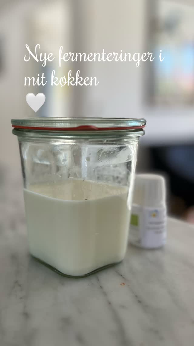 Jeg er gået i gang med at lave mælkekefir – og jeg må sige, jeg er blevet lidt grebet af det.
Der er noget helt særligt ved fermentering. At kunne forvandle helt simple råvarer til noget levende, smagfuldt og nærende… direkte i mit eget køkken.
Mælkekefir er fyldt med gode mælkesyrebakterier og kan være med til at støtte fordøjelsen, styrke tarmfloraen og bidrage til en mere stabil energi i hverdagen. Og så smager det faktisk også virkelig godt – let syrligt, cremet og friskt.
Jeg elsker at eksperimentere og lege med nye fermenterede projekter – og jeg får lyst til at dele det hele med jer.
Måske er det noget, vi skal smage på til en kommende fermenteringsworkshop?
Hvad siger du – er du nysgerrig på kefir og fermentering?