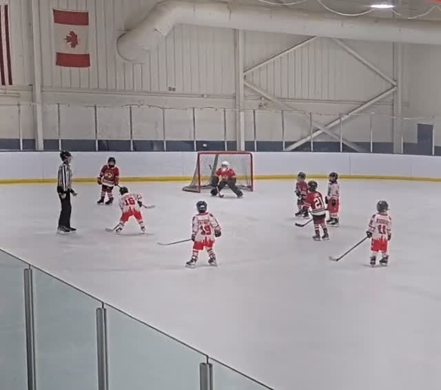 Teach em young… never touch the goalie ! #effingterrible #hockeyisfamily