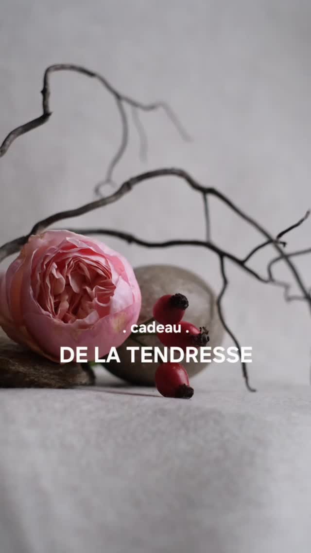 Cadeau ! Un enooorme pshit de douceur pour vous pour ce premier mai.
La vidéo complete est sur ma chaine YOUTUBE et sur mon journal !
(Liens en bio)
Dans cette improvisation de vidéo, je vous offre un temps de Tendresse et de douceur dans vos corps et de reconfort émotionnel. Pour le ressentir, prenez un temps de calme en fermant les yeux, placez vous dans une posture d'accueil et connectez vous à l'énergie de la pulvérisation par votre chakra du coeur.
Ressentez, en vos corps la magie de La Tendresse opérer. Certes, vous n'avez pas son odeur extraordinaire, mais sa vibration voyage jusqu'à vous à la vitesse de la Lumière.
J'espère que cela vous aidera à vous apaiser, à déposer ce qui n'est plus et à créer de l'espace pour accueillir le renouveau.
•••
Merci à Anne en Republique Dominicaine et Elea en Egypte, pour vos cadeaux de cristaux precieux. 🫶
#brumevibratoire #Alchimiste #alchimievegetale #rose #quantique