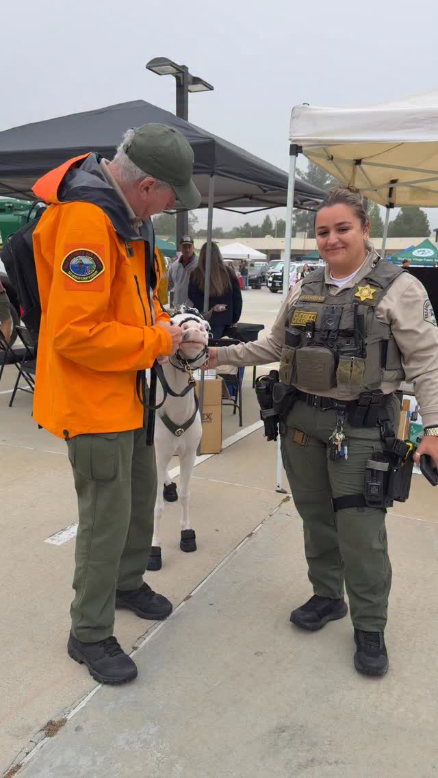❤️LOST HILLS STATION OPEN HOUSE🦄 @lasd_lhs We had a great turnout for this community event. @lasdhq #community #wellness #minitherapyhorses #horse #compassion #healing #hope #comfort #love #happiness @rose_parade