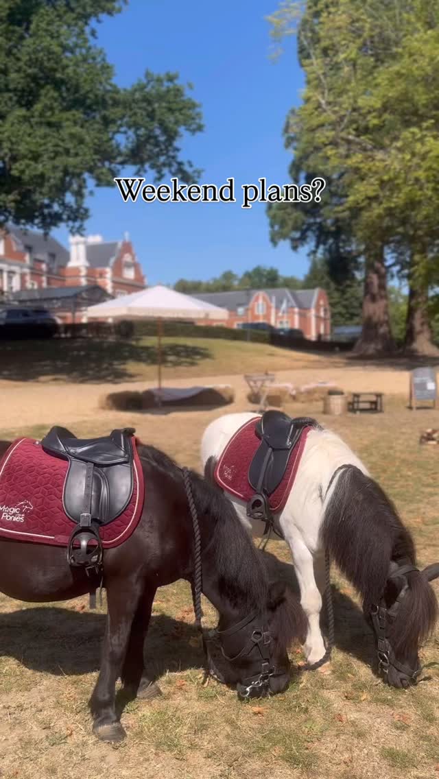 It’s bank holiday weekend 🙌🏻🐴
Don’t forget we are at @wotton_house_hotel on Monday! 🤍