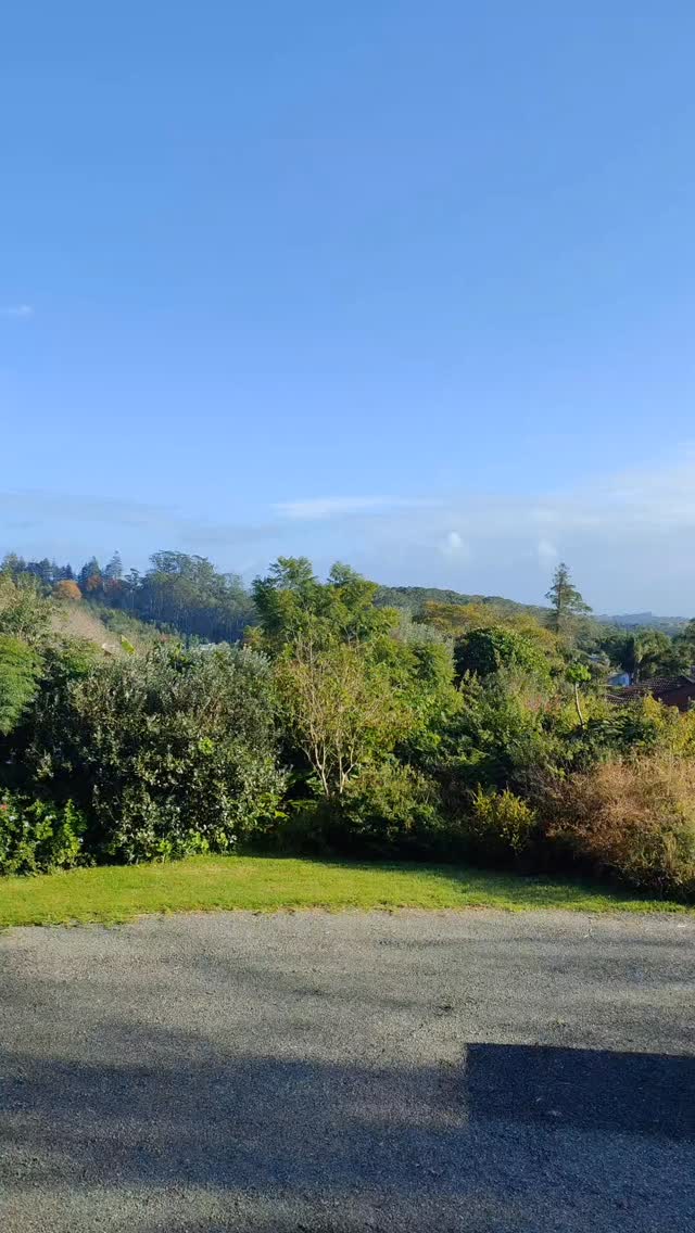 It's quite fun to rediscover your artistic roots. I wouldn't mind coming back to them a little bit and pepper my regular work with smaller watercolour designs.
If you are keen on something little and special for you I can design something fun.
Let me know.
inkedbymario@gmail.com
Thank you everyone