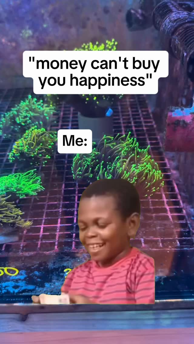 Money can’t buy happiness… apparently they haven’t tried buying coral. 🪸
Check out our coral selection and stop by today from 11–6! #reeftank #aquariumhobby #reefaquarium #coral #fishtank