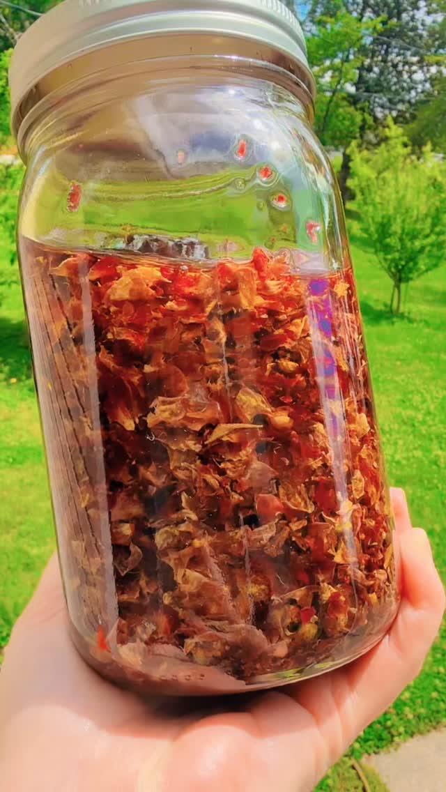 ✨🌿🫧🌸🌹💕☺️ Happy Monday from @apothecary.addict 😊💕🌹🌸🫧🌿✨
Today’s Feature: “The Healing Earth Wellspring Balm” — a slow-crafted infusion of roses, roots, and restorative botanicals 🌍💧
This reel offers a glimpse into the process…
golden oils steeped with skin-lovin’ comfrey, chickweed, plantain, and horsetail…
silken jojoba kissed with rose petals…🌿🌹
And then funished with soft notes of frankincense and geranium 🌿🌹
A balm designed to soothe, soften, and support —for dry, delicate, sun-kissed, or well-loved skin.
Lightly floral, gently herbal, and deeply nourishing…a daily ritual for skin and senses alike ✨
🌸 Thoughtfully made + beautifully giftable — just in time for Mother’s Day 🌸
⬇️❤️⬇️🌿⬇️🌹⬇️💕⬇️
Use code EARTHMOTHER10 for 10% off now through Friday 🌿
One tree planted with every balm 🌱🌳 @onetreeplanted
#apothecaryaddict #herbalbodycare #botanicalskincare #earthdayeveryday #handcraftedhealing