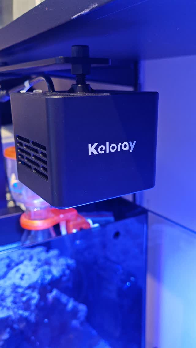 💡 Illumina il tuo acquario con stile! 💡
È arrivata la nuova plafoniera Keloray, la soluzione perfetta per dare nuova vita ai tuoi acquari 🌿🐠
✨ Design moderno ed elegante
✨ Illuminazione potente e uniforme
✨ Ideale per esaltare colori e dettagli di piante e pesci
🔥 Disponibile ora a soli 185 €! 🔥
Non perdere l’occasione di migliorare il tuo acquario con una luce professionale a un prezzo imbattibile.
📩 Contattaci per info o per prenotare la tua!
@lilykeloray
#Acquari #Aquascaping #Acquariofilia
#illuminazioneled