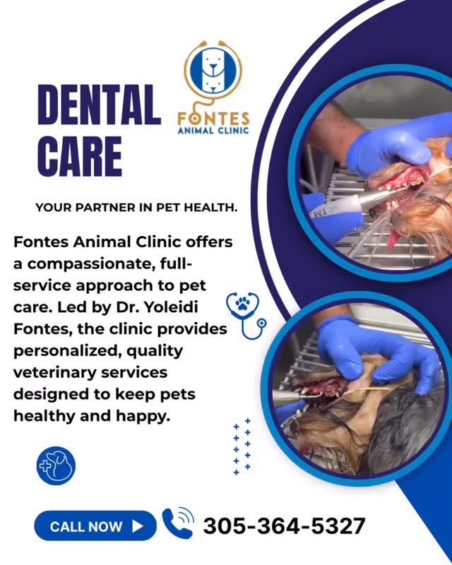 At Fontes Animal Clinic, our dental care services help prevent disease, eliminate bad breath, and keep your furry friend feeling their best.
🦷 Our Dental Services Include:
• Comprehensive oral exams
• Professional teeth cleaning (scaling & polishing)
• Dental X-rays (when needed)
• Safe extractions if required
💡 Did you know?
By age 3, most pets show signs of dental disease if not treated regularly.
📅 Schedule your pet’s dental check today and give them a healthier, happier life!