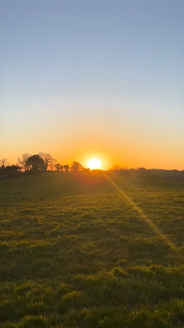 β¦and breath. Sunrise over the Training Field with views of Haytor providing a peaceful start to our morning π
Reminder - our bookable hours are extended whilst the days get longer and hotter!
#SecureDogWalking
#SecureDogWalkingFields
#SecureDogWalkingPark
#WanderlustWalkies
#SecureDogPark