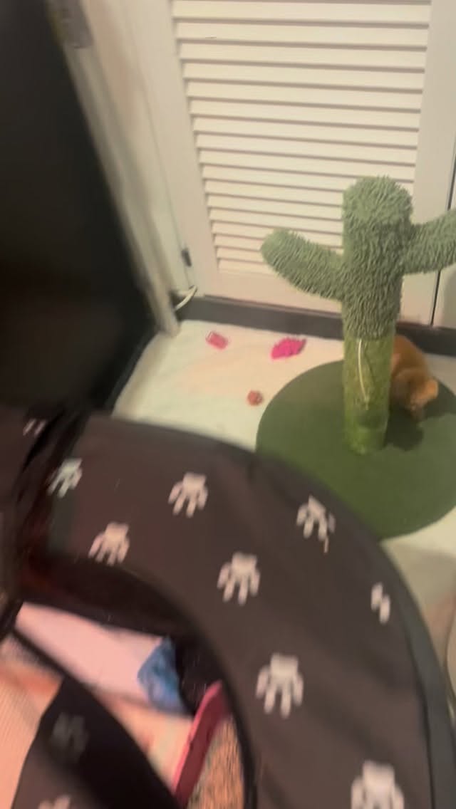 Hoe het met de kleintjes gaat?
Nou kijk maar… en geniet! 💖