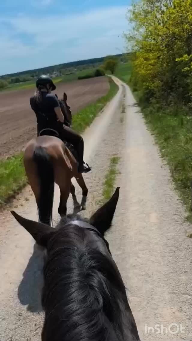 Am vergangenen Wochenende waren Laura und Lara beim Orientierungsritt des @rfv_leutershausen unterwegs.
Lara hatte dabei unseren Infi unter dem Sattel – und mal ehrlich: Wie cool ist er bitte mittlerweile geworden? 🤩
Wir sind unglaublich stolz auf ihn. 💛
Die beiden konnten sich mit Infi und Balou den 8. Platz erreiten. 🏅
Herzlichen Glückwunsch! ✨