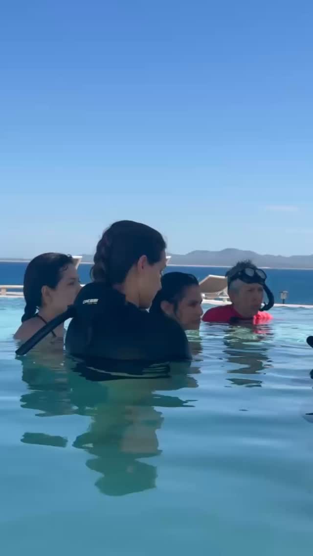 ¡Nuestro retiro de certificación de apnea para mujeres en La Ventana está cerca!
🫁 Esta experiencia está diseñada para que aprendas:
• Técnicas de relajación, respiración consciente y ecualización • Protocolos de seguridad • Postura corporal y técnica eficiente de natación vertical
🤿 Te incluye:
✦ Certificación internacional Apnea AIDA (AIDA 2) ✦ Instructoras certificadas ✦ Práctica de yoga ✦ Comidas balanceadas ✦ Safari marino ✦ Fotografía profesional ✦ Equipo de snorkel ✦ Estancia en @casatararetreat
¿Tienes preguntas? Contáctanos por DM o visita el link en nuestra bio. 📨
-
-
-
-
-
retiro apnea, scuba diving, freediving women, apneistas, freediving life, ocean adventures, mujeres del mar, apnea mexico, freediving retreat, certificacion apnea, baja california sur, ocean lover, aprende apnea, freedivers, mujeres que inspiran, retiros para mujeres, viajes con proposito, apnea community, yoga en la playa, ocean experience