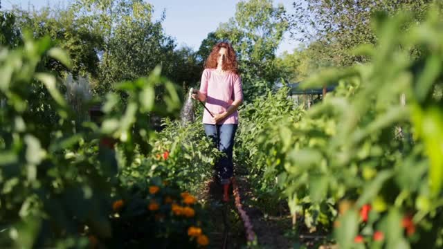 🌱 May is the perfect time to test your soil and set your garden up for success! Healthy soil means healthier plants, better yields, and a more resilient ecosystem.
Safe Soil UK is encouraging everyone, gardeners, growers, and communities, to check what’s in their soil. From nutrients to potential contaminants, a simple test can make a big difference.
Let’s grow smarter, safer, and more sustainably this season 🌼
#Gardening #SoilHealth #GrowYourOwn #SustainableLiving #OrganicGardening