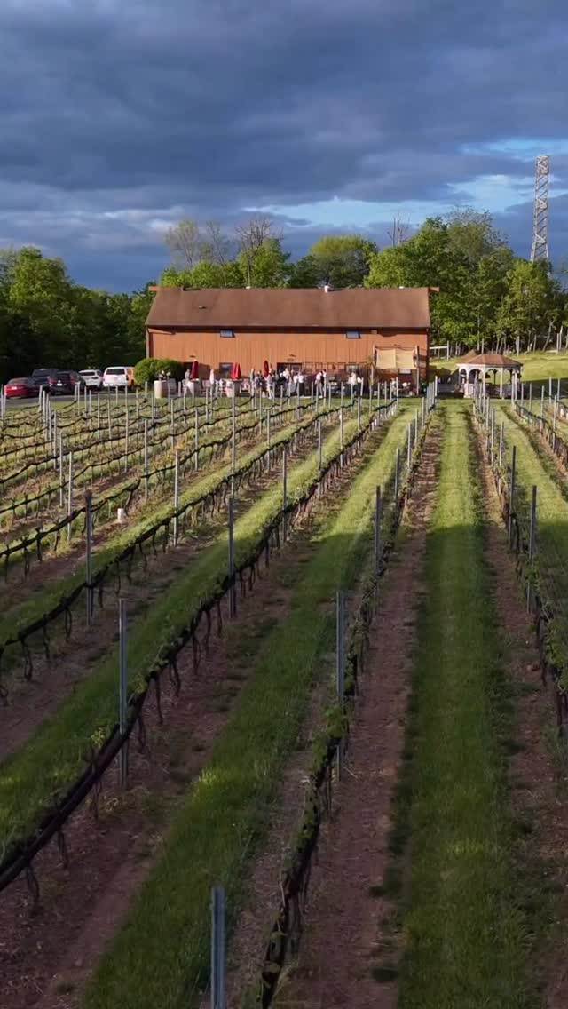 🍕We are all still reminiscing over this wonderful night of food, drink and friendship that took place last week at the wonderful vineyards of @rienzi_winery. Delicious pizzas straight from the oven using the freshest pizza dough from @calicobreadco and refreshing wine from Rienzi Winery. @Hollowhousefarms truly creates magic every time they make small businesses and friends alike come together for all to enjoy. 🍷
.
.
.
#buckscounty #eatlocal #supportlocal #hollowhousefarms
