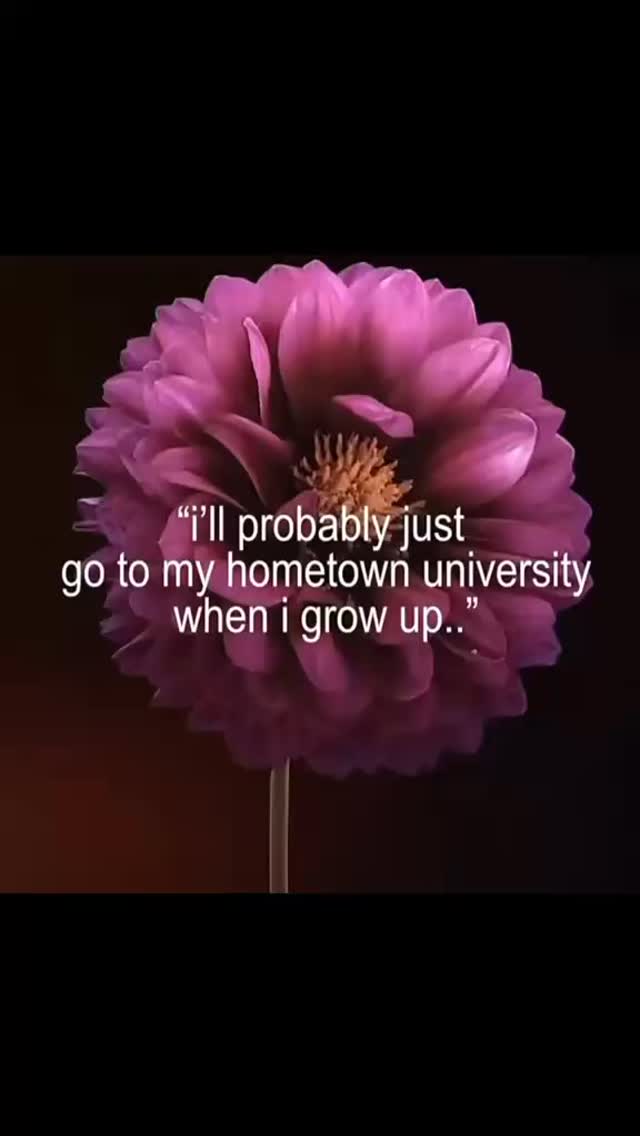 The flowers represent the comfort of home, but the city represents your growth. 🌸➡️🏙️
If you’ve been thinking about studying in the UK but aren’t sure where to start, we’ve got you covered. We help students turn “I’ll probably just stay here” into “I’m moving to the UK!”
How to get started:
📧 Email: info@uniapplyuk.com
💬 WhatsApp: +44 7711 875417
🔗 Visit: www.uniapplyuk.com
#InternationalStudents #UKUniversities #StudyAbroadGoals #UniApply #LondonVibes