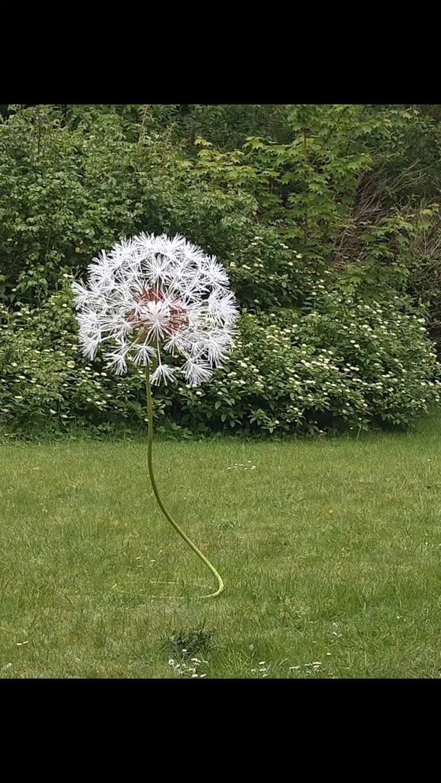 Yep, that's right. It's just a giant dandelion made from crepe paper gently swaying in the breeze
#paperflowers #paperflorist #madefrompaper #crepepaperflowers #dandelion
