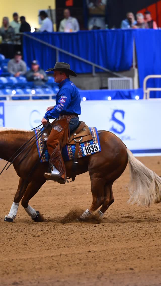 @north_american_reining_stakes Nominated Sire @customizemydream_ and @dearyperformancehorses are always a finals highlight reel!
๐บ๐ธ Enroll your Customize My Dream Foals with NARS:
www. NorthAmericanReiningStakes.com
โก๏ธ Standing at @oswoodstallionstation
#horsesofinstagram #reining #horseriding #horselove #equestrian