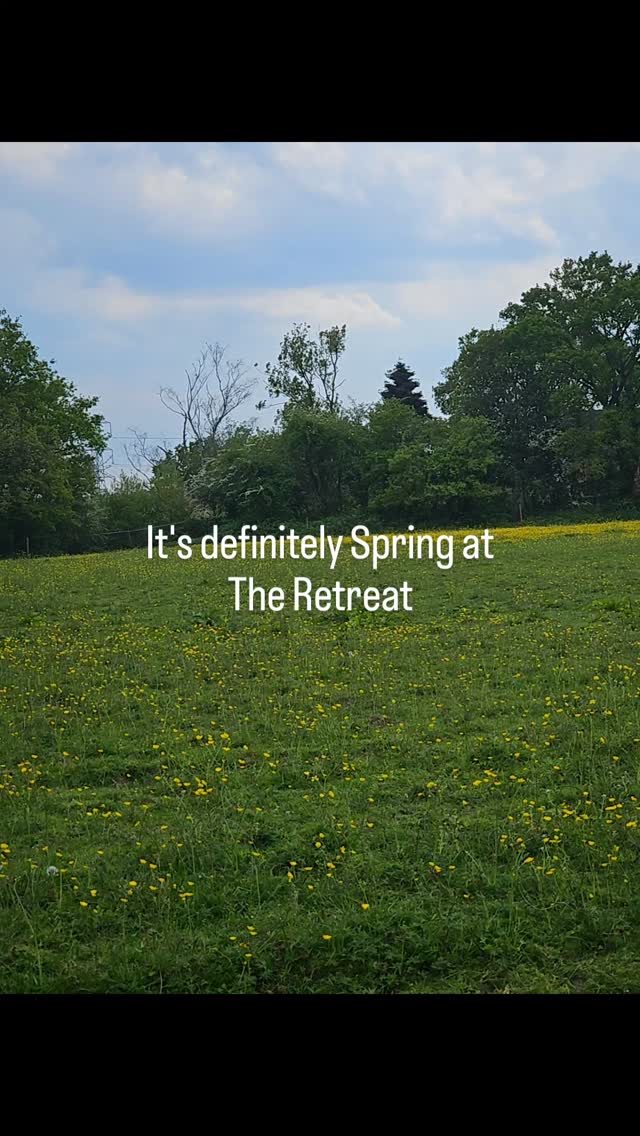 I'm truly blessed to live somewhere so close to nature, and this time of year everything is bursting with life. Apart from the hayfever sneezes, its my favourite time of year here! #relaxattheretreat #takecontrolofyourwellbeing #wellnessthatworks #wellbeingworkshops #springhassprung