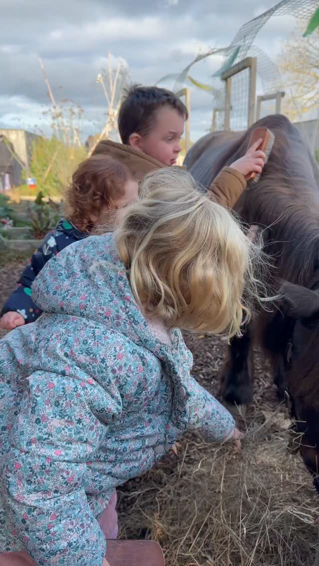 Don’t forget we’re at @lmbascot tomorrow and we still have a couple of spaces left available for our second session (12:15pm-1:15pm) ✨
Use the booking link in our upcoming events to book! (Link in our bio) 🐴🤍