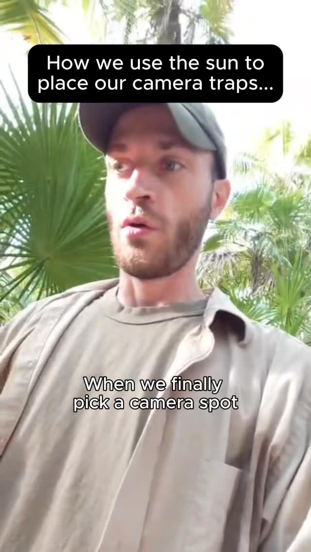 One small detail that can make a big difference in camera trapping: the sun โ๏ธ
Weโll be sharing more behind-the-scenes insights into how we design and deploy our camera trap stations in future posts!
#Conservation #WildlifeConservation #CameraTrap #TrailCamera #PathosWildlife