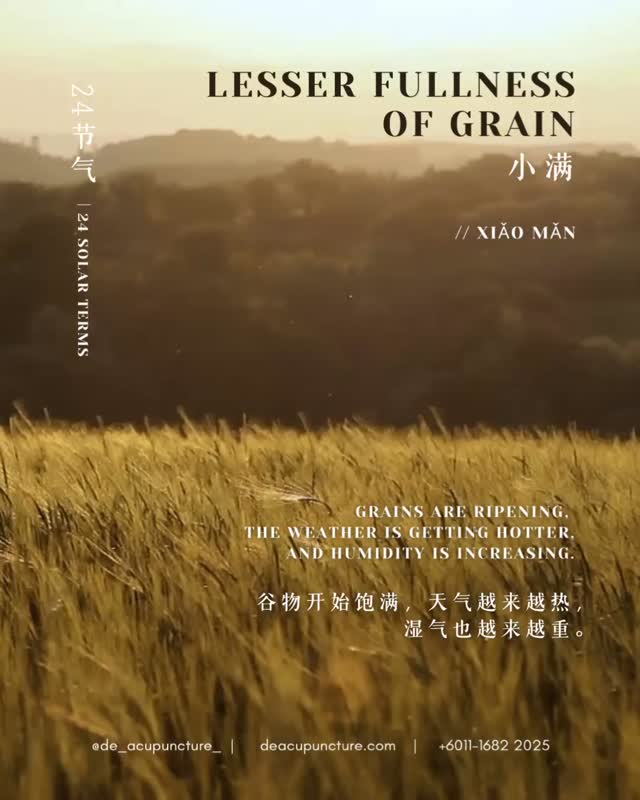 🌾Xiǎo Mǎn (小满), the 8th Solar Term (around May 20th), means the crops are almost full, but not quite ripe.
This TCM philosophy teaches us to value moderation and balance—avoiding excess to prevent decline.
🌡️ TCM Focus:
Clearing Damp-Heat
With rising temperatures and increased rain, the biggest health challenge is Dampness combined with Heat, leading to:
Symptoms:
Skin issues (rashes, eczema), heaviness, bloating, or fatigue.
💖 Self-Care for Xiǎo Mǎn
❇️Drain Dampness
Eat bitter, cooling foods like cucumber, bitter melon, and mung beans.
❇️Avoid Excess
Cut out rich, fried, and heavily sweet foods which create more internal dampness.
❇️Drink Warm
Skip the ice-cold drinks! Opt for warm herbal teas (like Chrysanthemum) to protect your Spleen.
❇️Gentle Movement
Choose light activities like walking or Qi Gong over strenuous exercise to avoid excessive sweating and fluid depletion.
If you’re constantly feeling heavy and bloated, Acupuncture can harmonize your Spleen and effectively drain the trapped Dampness.
Book your seasonal wellness check at 医心医意中医坊 De Acupuncture x Herbs Centre today! 💖
#24SolarTerms #Xiaoman #小满 #TCMWellness #Dampness #SubangJaya #DeAcupunctureXHerbsCentre