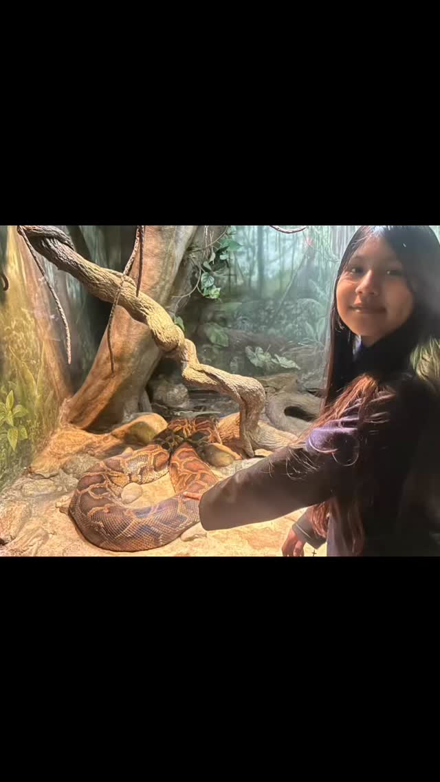 Taking our learning outdoors with a trip to the @bronxzoo! #dlmsfamilia #fieldtrip #nycps @nycdistrict3