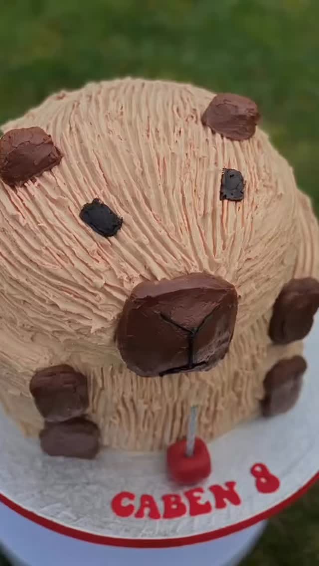 #birthdaycake #celebrationcakes #bespokecakes #sayitwithcake #bespokecakesdorset