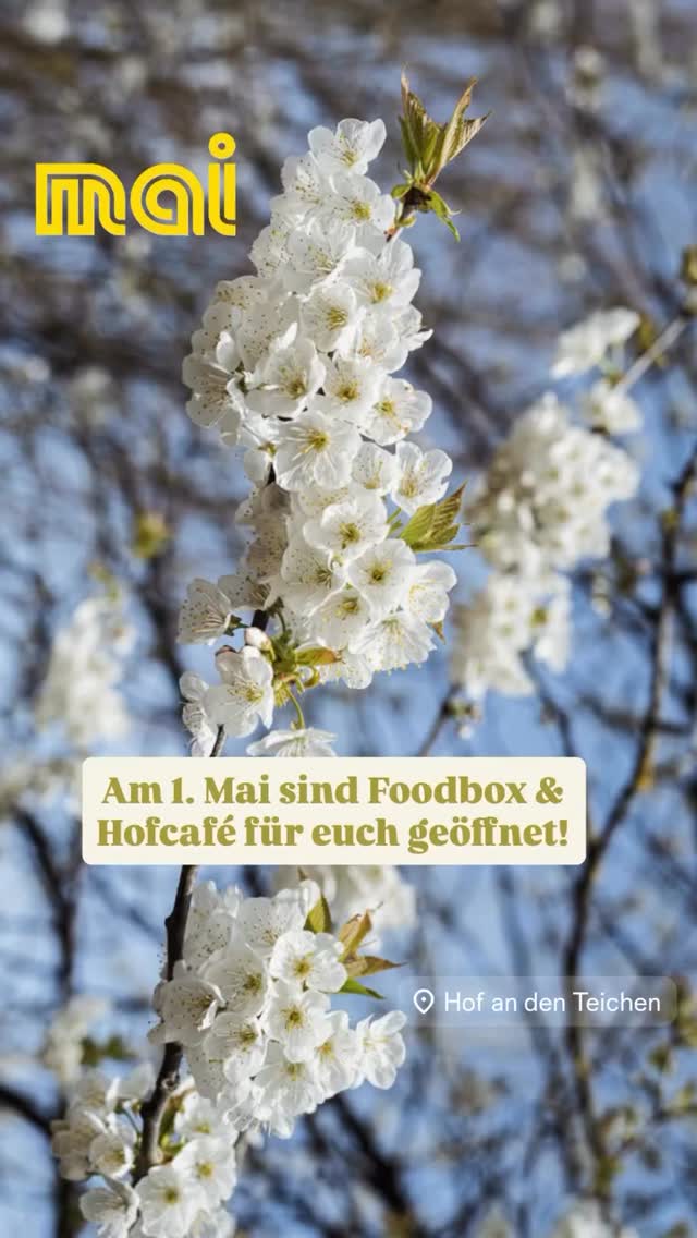 🌿Wenn ihr gut in den Mai hineingefeiert habt, kommt doch bei uns vorbei und genießt das herrliche Wetter draußen - Foodbox und Café sind gut bestückt und schöner kann’s fast nicht werden!