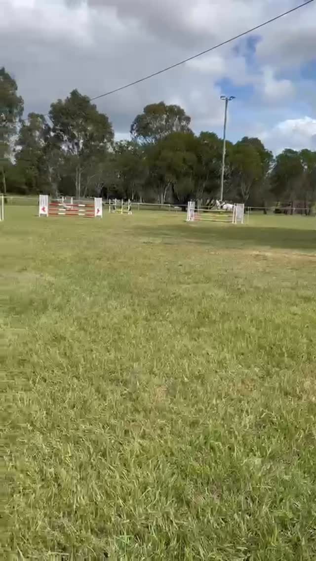 Thank you WEPC for running a lovely club day. We were a bit rusty but so fun to be back jumping with the wonderful Cushavon Pippa☘️