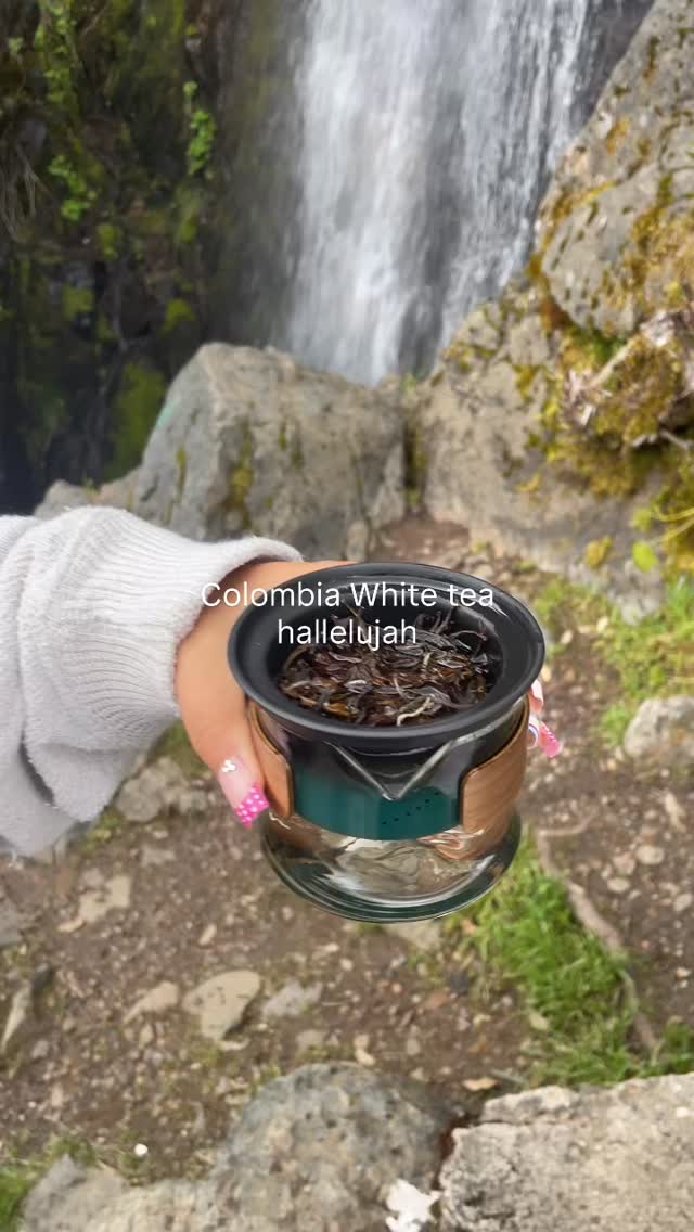 Check out our speciality Colombia White Tea. We have some surprises coming in store so be on the lookout 👀
#teacompany #tealovers #hollistichealth #naturalliving #greentea