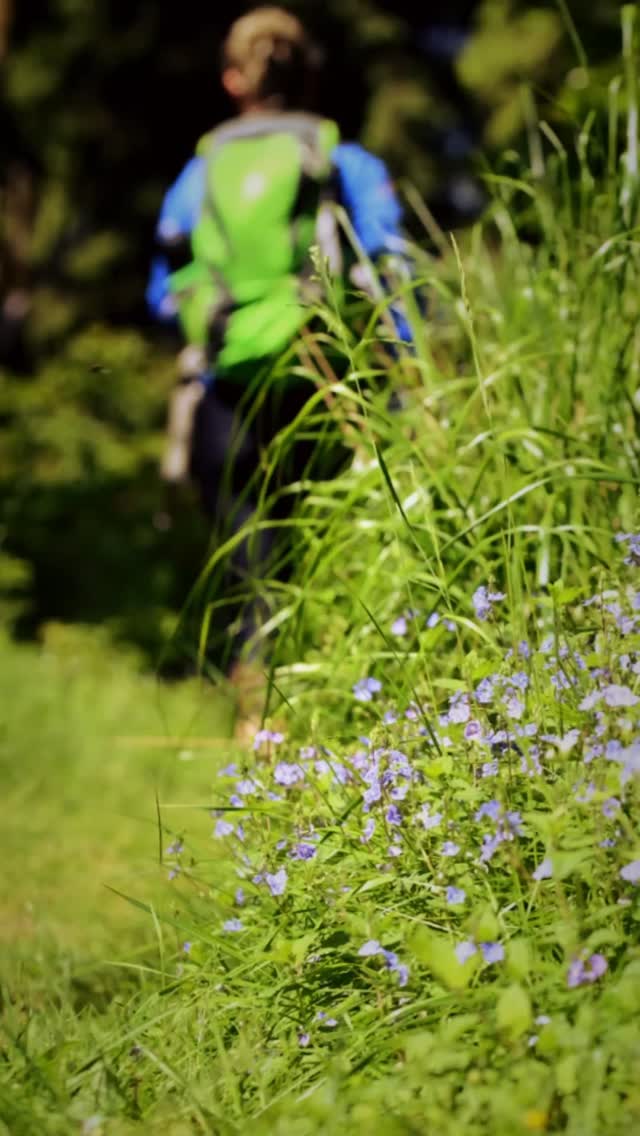 ☀️ Sommer im Thüringer Wald – Zeit zum Durchatmen! 🌲
Spürst du die Wärme auf der Haut und das sanfte Rauschen der Baumkronen? Unser Waldhotel ist der perfekte Rückzugsort, um den Sommer in seiner schönsten Form zu erleben.
Ob eine erfrischende Wanderung am frühen Morgen, ein entspanntes Picknick im Grünen oder einfach die Seele baumeln lassen auf unserer Sonnenterrasse – hier kannst du den Alltag hinter dir lassen und neue Kraft tanken. 🌳✨
Gönn dir deine wohlverdiente Auszeit und entdecke das grüne Herz Deutschlands von seiner sonnigsten Seite!
#ZeitfürWald🌿
#zugastbeifreunden🌿
#waldhotel#sommer#thüringerwald