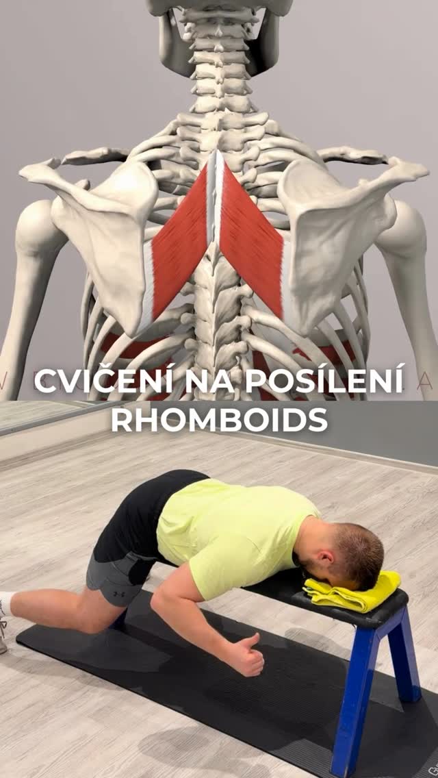 Rhomboidy = základ pro zdravá záda, stabilní lopatky a silný tah. 🧠
Pokud tě bolí mezi lopatkama, máš předsunutá ramena nebo „kulatý záda“, pravděpodobně ti chybí jejich aktivace a síla.
👉🏽 Nejde jen o tahání. Jde o kontrolu lopatek, jejich stažení dolů a k sobě. Tohle je přesně typ cvičení, který většina lidí buď nezná, nebo dělá špatně.
A přitom to může být klíč k tomu, aby ses zbavil bolestí a zlepšil výkon.
Honza
#brotasfitness #silovytrenink #bolesti #cviceni #posilovani