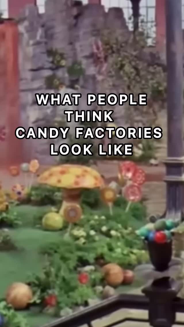 Every. Time. 🤣🤣 #explore #espeezcandy #funny #willywonka #omg