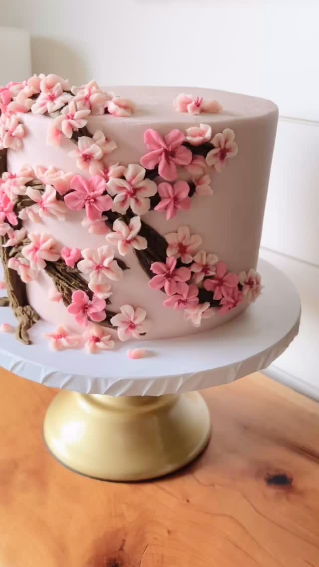 One of my favorites so far…
#cherryblossoms #cherryblossomcake #springcake #cakeartistry #friscotx