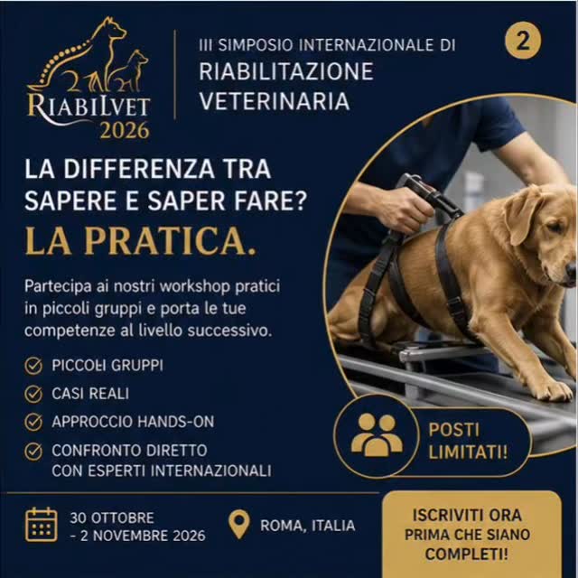 🎓 La differenza tra sapere e saper fare?
La pratica.
Al RIABILVET non ti limiti ad ascoltare.
👉 Lavori
👉 Tocchi
👉 Applichi
🔬 Workshop pratici (posti limitati)
✔ piccoli gruppi
✔ casi reali
✔ confronto diretto con esperti
Questo è il tipo di formazione che cambia davvero il tuo approccio clinico.
💬 Non è teoria.
È quello che userai il giorno dopo in clinica.
⚠️ Posti estremamente limitati
👉 Iscriviti ora prima che siano completi
#VetEducation