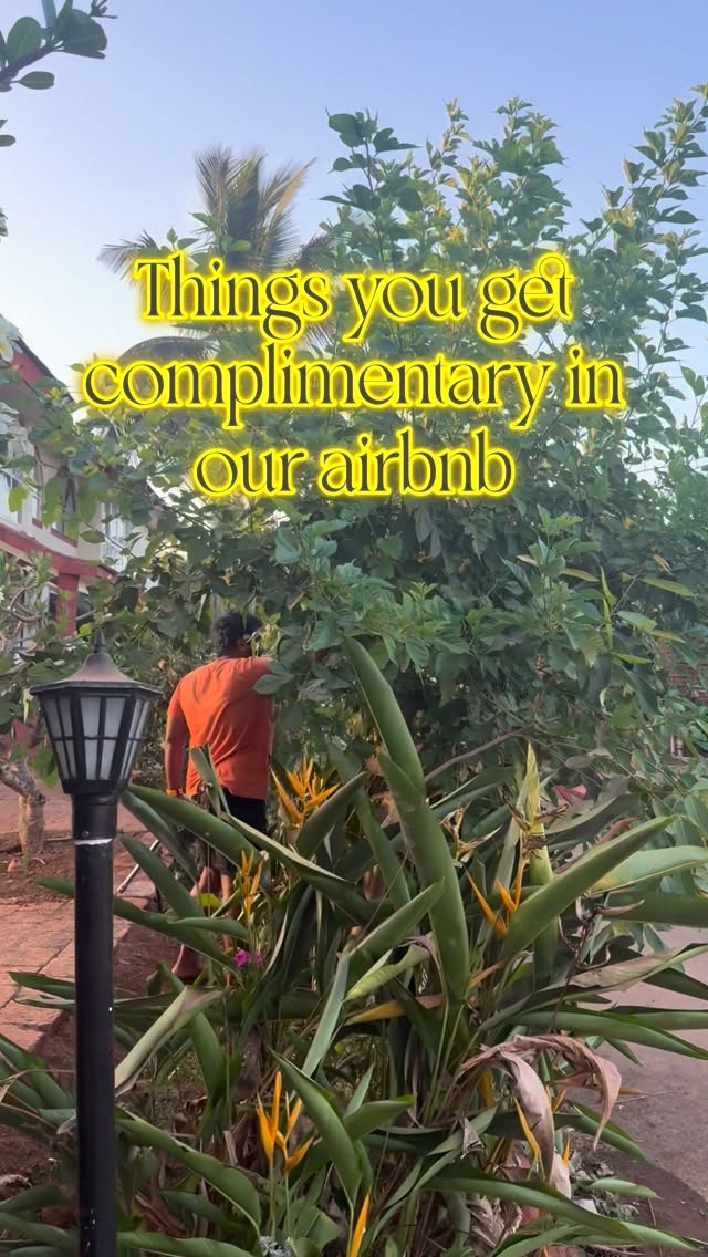 Sorry but makeup tutorial is not complimentary
#goa #airbnb #travel #homestay