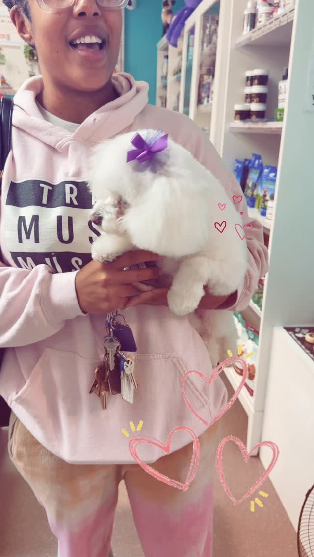 “Nothing melts the heart quite like receiving unconditional love. 🐾💕
Freshly groomed, happy, and covered in kisses… because to them, mom is their whole world. ✨” Choose Wiggle Rumps, Where every visit ends with happy little wiggles! 💕