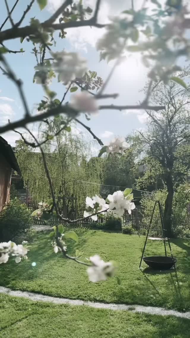 Hallo, kann mich jemand kneifen?!
Wie schön kann ein Frühling sein?
#frühling #springvibes #blumenimgarten #blumenimgartenmachenglücklich