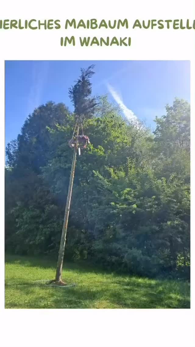 Eines der vielen jährlichen Highlights im WaNaKi ist das Maibaum-Aufstellen. Die Kinder bringen dafür von zu Hause Blumen mit und binden dann im Kindergarten gemeinsam einen Kranz. Wenn der Maibaum steht, wird gesungen und getanzt. Bereits in den Tagen davor wird die Tradition des Maibaum-Aufstellens erklärt. Schließlich wollen die Kinder die Bräuche im Kontext der Geschichte verstehen und feiern können. #waldpädagogik #kindergarteninooe #badhall #maibaum #kindermaibaum traditionenleben