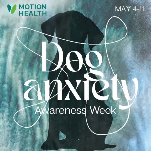 🐾 Dog Anxiety Awareness Week | May 4–10
Did you know dogs can experience anxiety much like we do?
From separation stress and loud noises to changes in routine or aging-related cognitive decline, canine anxiety is more common than many pet parents realize. Signs can include pacing, excessive barking, destructive behaviour, trembling, clinginess, digestive upset, or withdrawal.
💚 Supporting calm starts from within.
While Green Lipped Mussel is best known for joint health, its benefits may extend beyond mobility:
✔️ Rich in Omega-3s, including ETA, a unique anti-inflammatory fatty acid only found in Green Lipped Mussel
✔️ Supports brain health, Omega-3s play an important role in healthy cognitive function and mood regulation
✔️ Helps reduce inflammation, chronic inflammation may influence behaviour, discomfort, and stress responses
✔️ Improves mobility and comfort, when dogs feel better physically, they may be less restless, reactive, or stressed
✔️ Whole-food nutrition, naturally provides amino acids, minerals, and nutrients that support overall wellness
For some dogs, anxious behaviours can be linked to hidden discomfort, inflammation, or age-related cognitive changes, not just environment or training.
A healthier body can help support a calmer mind.
This Dog Anxiety Awareness Week, take a moment to check in on your dog’s emotional wellness—not just their physical health.
#DogAnxietyAwarenessWeek #CanineWellness #DogHealth #GreenLippedMussel #NaturalPetCare MotionHealthCanada PetAnxiety HealthyDogs