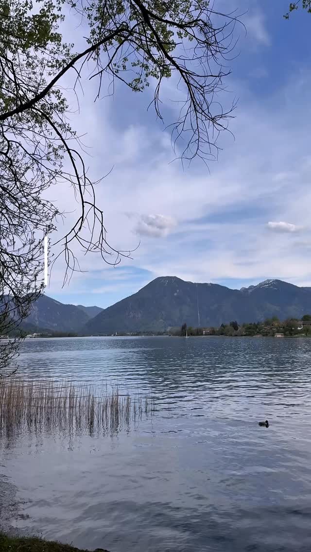 Entspannter Spaziergang mit 15 Hunden am Tegernsee? Klar! Start unserer Crazy Dog Ladies - Frauchenwoche am Tegernsee 🥂