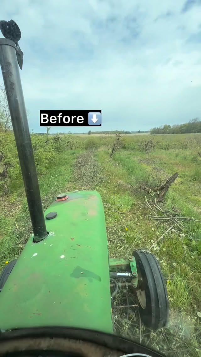 Mowing orchard brush to keep the apple rows clean 🌳🚜 #MichiganApples #OrchardLife #farm