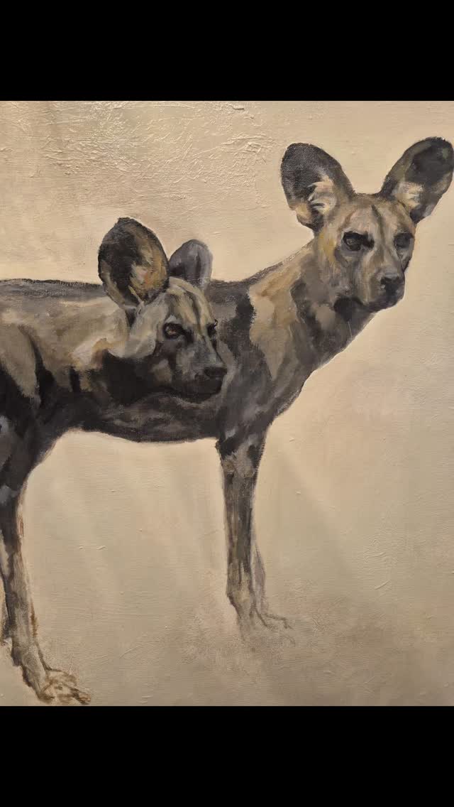 Enjoying painting in the gallery which has mush better lighting. Today Im working on a pair of Wild Dogs using thicker layers of oils.
#wildlifeart #contemporaryart #oilpaintingsoncanvas #oilpaintingsforsale