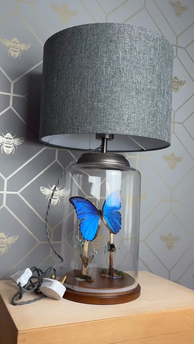 Looking for something unique to add to your home decor collection? Then stop right here. This Giant Blue Morpho and Bumblebee Nature Dome Lamp is now available on our website!
#naturalhistory #insectart #taxidermyart #butterfly #butterflydisplay