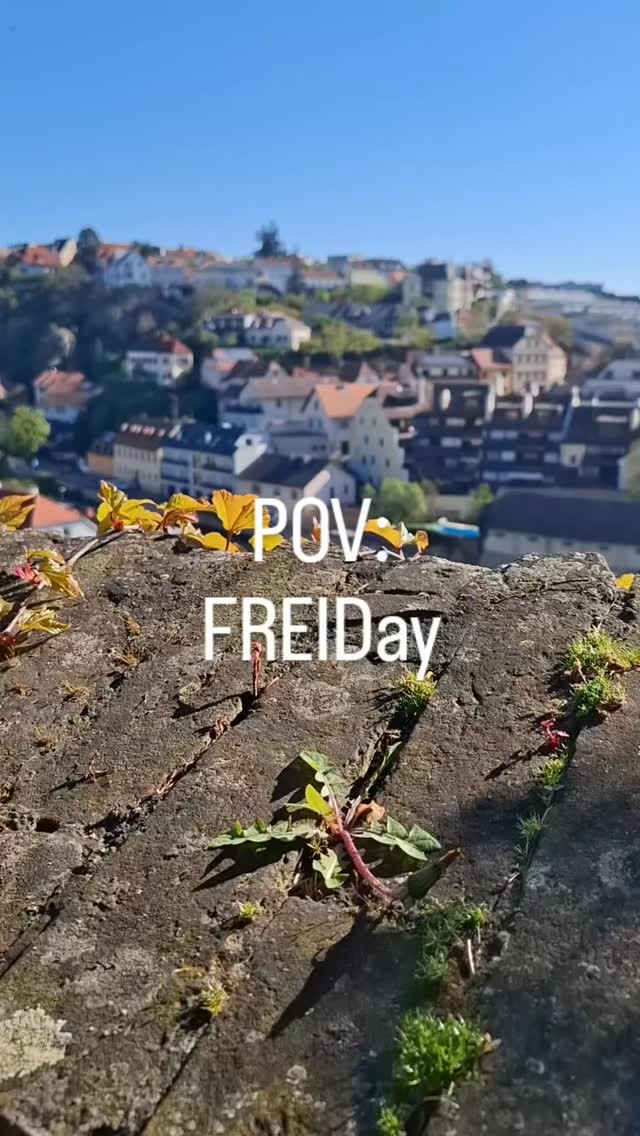 @ms_mary_ward_krems Es ist FREIDay, Zeit für Lernen im Schulgarten! 🌞🏡
#marywardkrems #freiday #schulgarten #fridayvibes #vosö