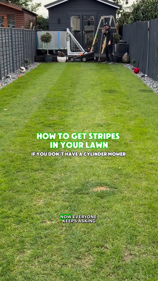 This is one of our most common questions and we completely understand why. We all love a stripey lawn and it can be achieved easily if you have a cylinder mower.
If you don’t, it’s still possible to achieve the stripes but it does require a little bit more effort
Stripes in lawn | stripey lawn | green grass | lush lawns