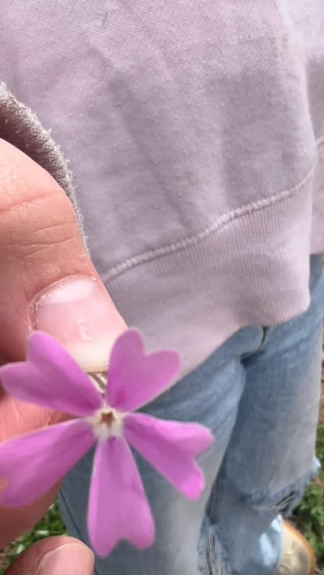 Even with unexpected snow at our Earth Day celebration last month- we had such a great time learning about beneficial insects, making actual mud pies and then pudding mud pies! Thank you to everyone who came out to celebrate!!
#naturetalks #earthday #muddyhands