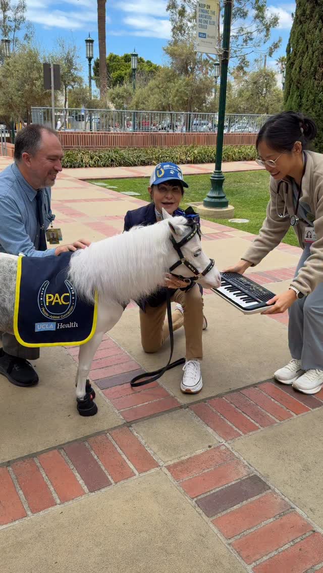 The doctor loved holding the keyboard for Blue Moon! Moonie brings so much joy to so many people. @casiomusicgear #keyboard #horse #minitherapyhorses #wellness #hope #compassion #minihorse #healing #community #kindness #comfort @ucla_pac @uclahealth