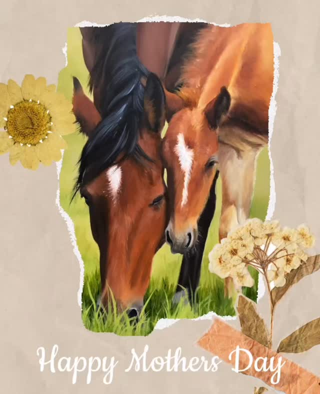 A very Happy Mothers Day from all of us at the Painted Moose Gallery
We hope you have a wonderful day.