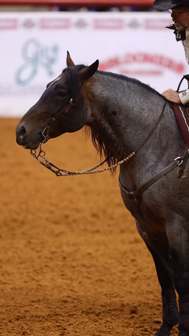 TAGGLINE - Booked FULL AGAIN in 2026!
Congratulations to our friends at Teague Diversified. All your hard work and belief in this incredible horse is paying off big!
Be the brand ๐๐ผ
#horsesofinstagram #horses #horselove #equestrian #equine
